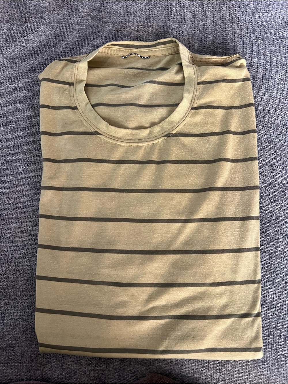 Patagonia Olive Green Short Sleeve Striped Crew Tee